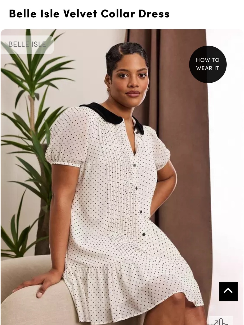 Torrid Cream Polka Dot Tunic Dress with Black Velvet Collar